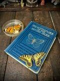 The Butterflies of the British Isles Richard South, F.E.S. Frederick Warne & Co. Ltd., Seventh Impression, 1924.