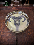 Rams Head Vintage Paperweight