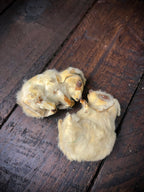 Vintage 1930’s German Fur & Suede Mice