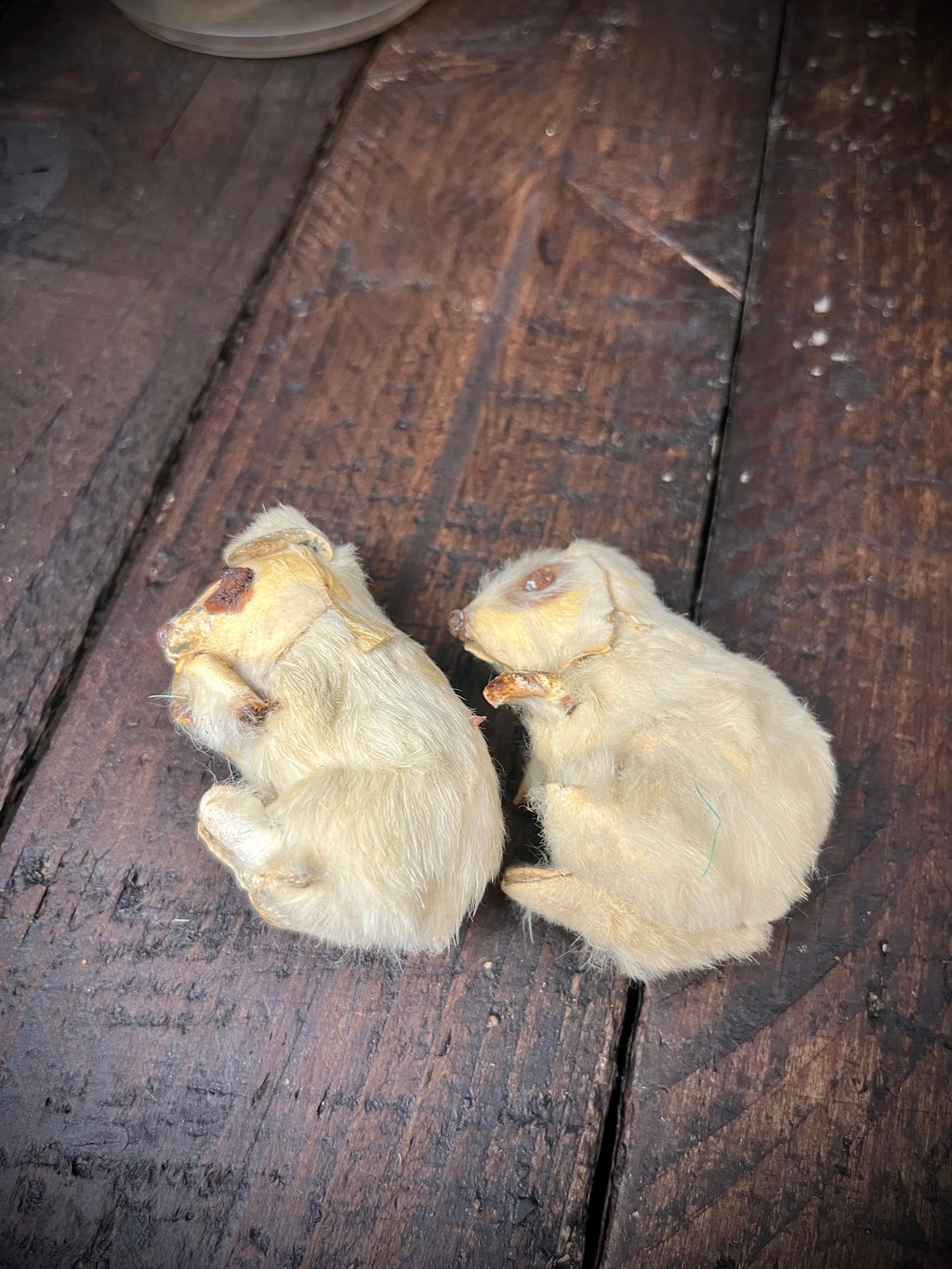 Vintage 1930’s German Fur & Suede Mice