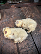 Vintage 1930’s German Fur & Suede Mice