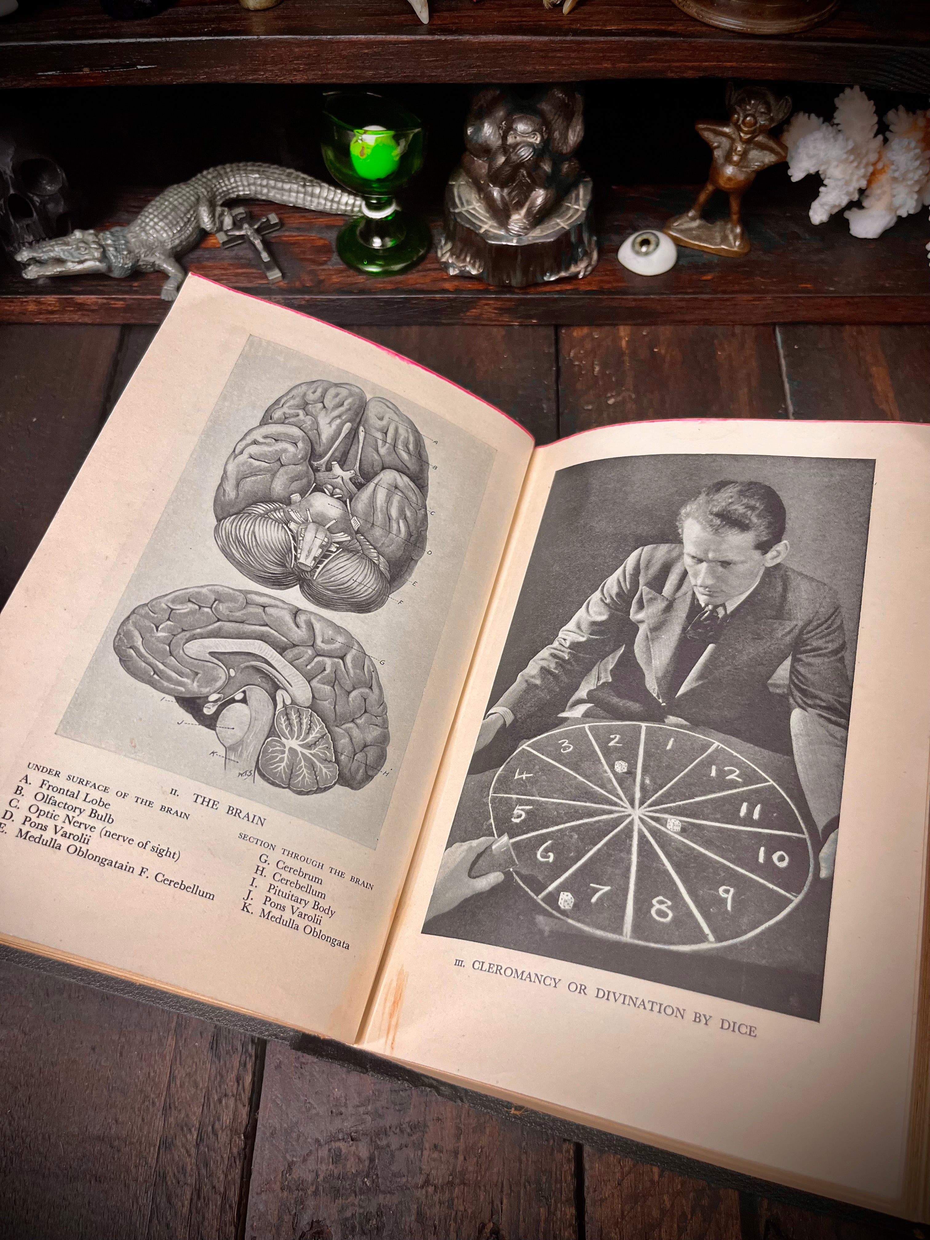 Everybody's Book of Fate and Fortune by Edward Lyndoe