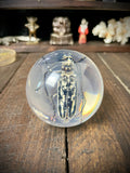 Longhorn Beetle Resin Display Sphere Natural History Curiosity #2
