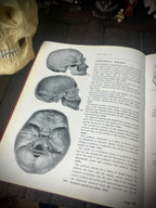 Positioning in Radiography – K. C. Clark M.B.E., F.S.R. (1960) – Seventh Edition – Vintage Medical Textbook