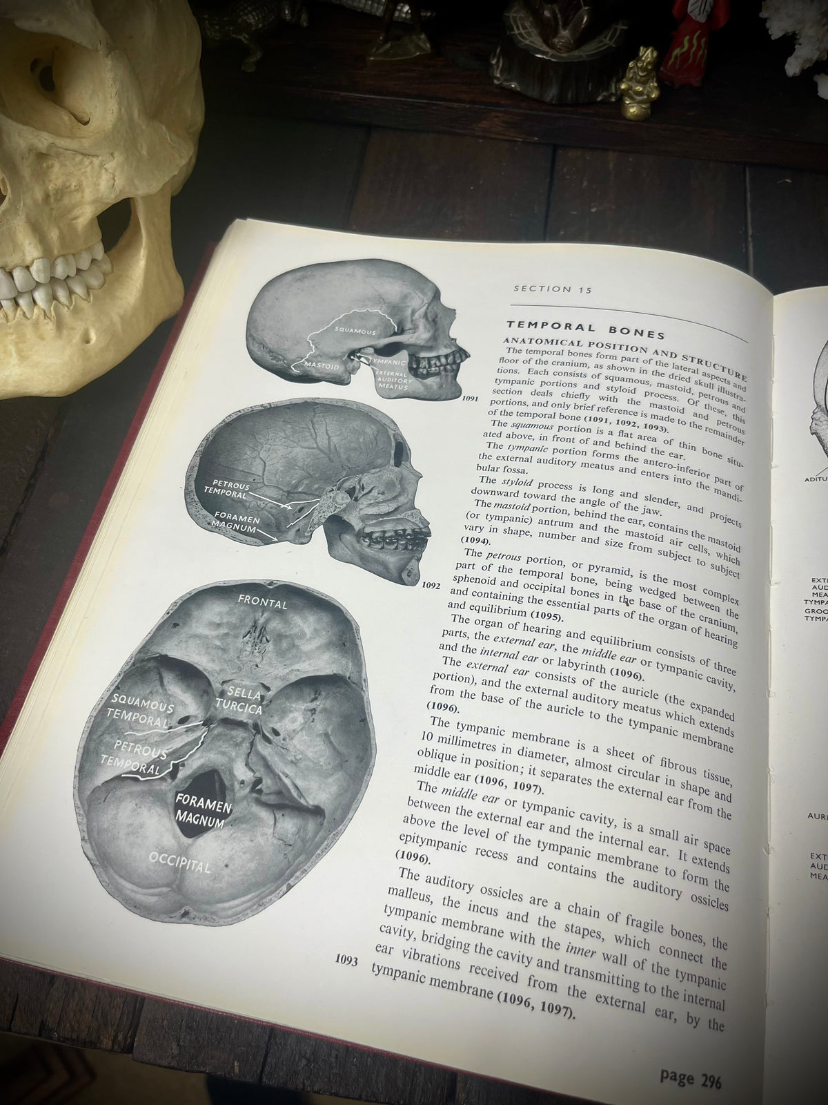 Positioning in Radiography – K. C. Clark M.B.E., F.S.R. (1960) – Seventh Edition – Vintage Medical Textbook