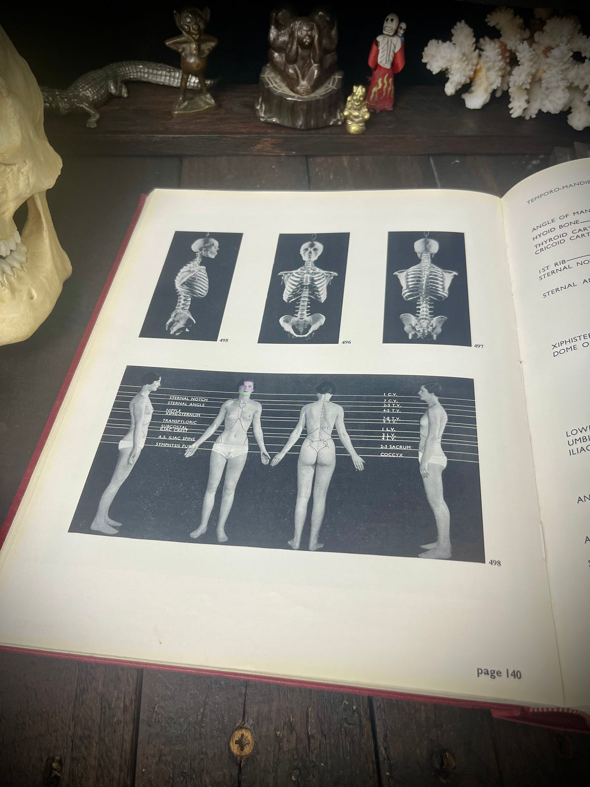 Positioning in Radiography – K. C. Clark M.B.E., F.S.R. (1960) – Seventh Edition – Vintage Medical Textbook