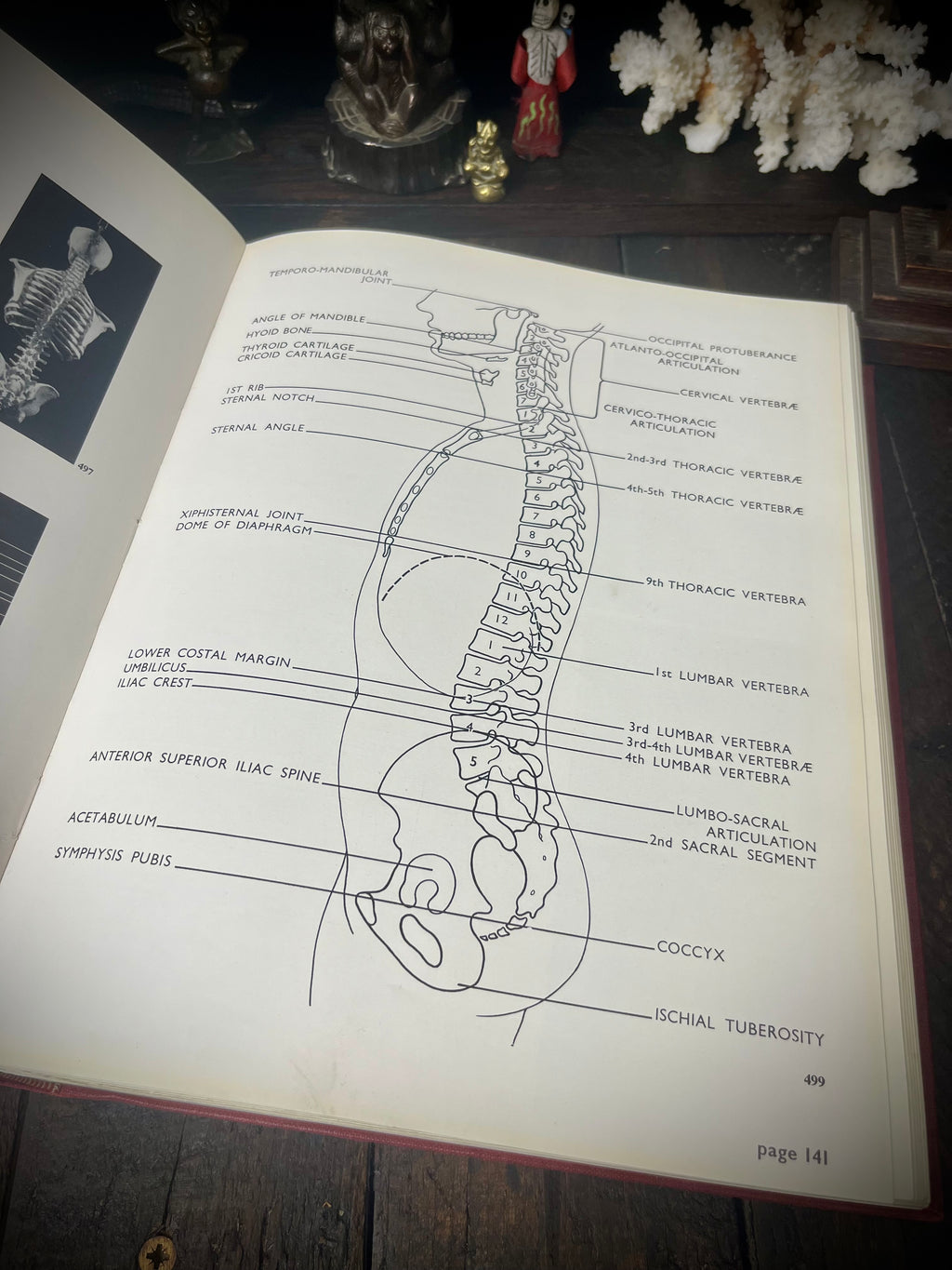 Positioning in Radiography – K. C. Clark M.B.E., F.S.R. (1960) – Seventh Edition – Vintage Medical Textbook