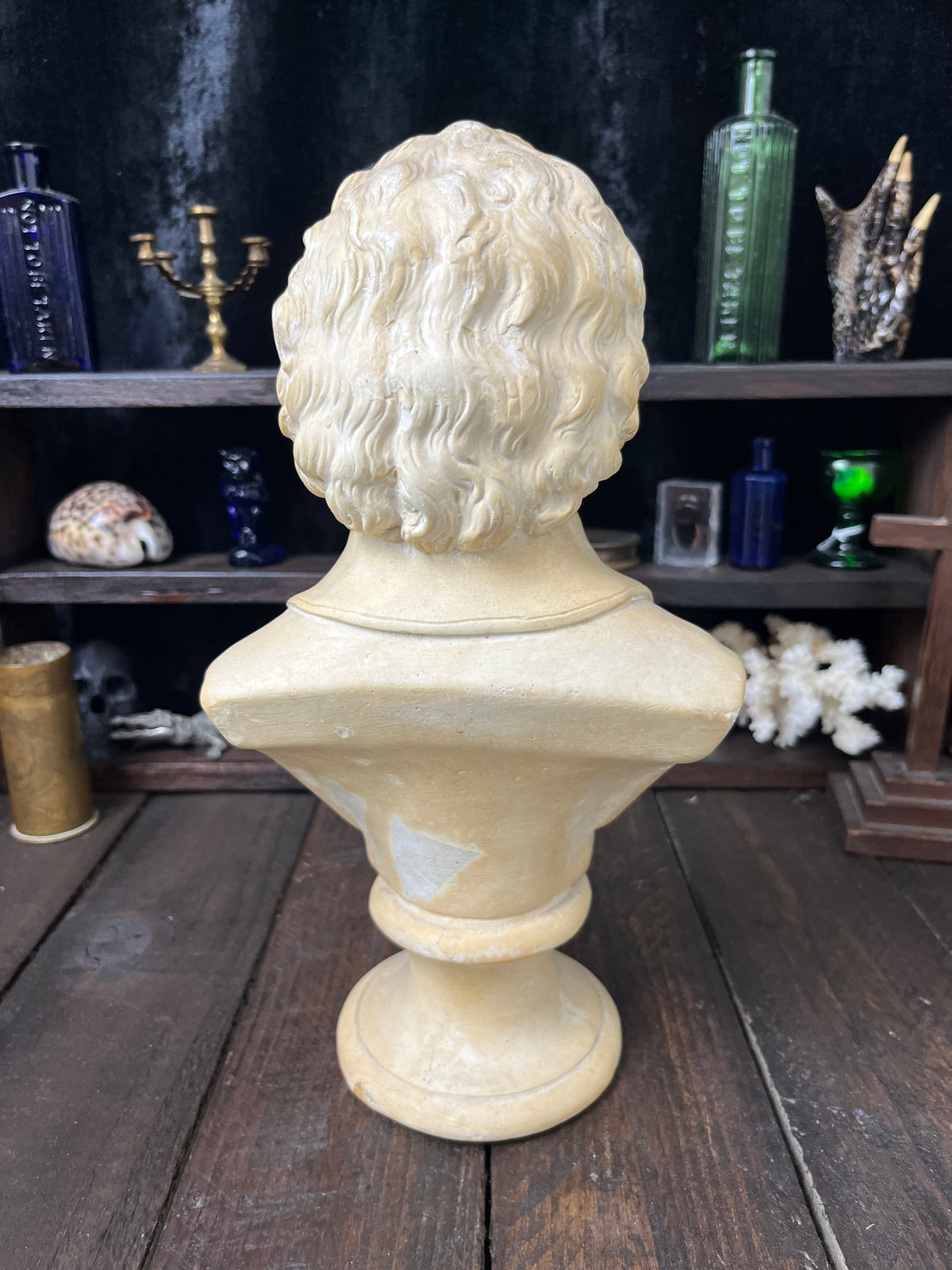Large Vintage Mozart Bust – 30cm Plaster Sculpture – After P.P. Caproni Mode
