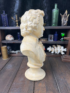 Large Vintage Mozart Bust – 30cm Plaster Sculpture – After P.P. Caproni Mode
