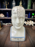 Vintage L.N. Fowler Phrenology Head – Ceramic Reproduction – 24cm