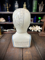 Vintage L.N. Fowler Phrenology Head – Ceramic Reproduction – 24cm