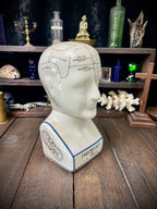 Vintage L.N. Fowler Phrenology Head – Ceramic Reproduction – 24cm