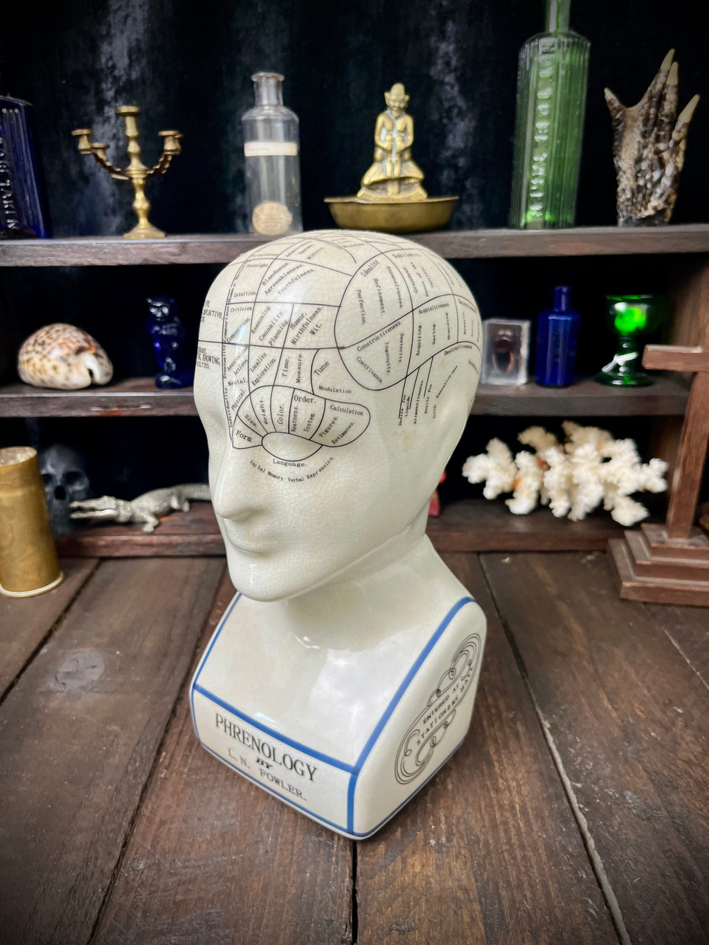 Vintage L.N. Fowler Phrenology Head – Ceramic Reproduction – 24cm