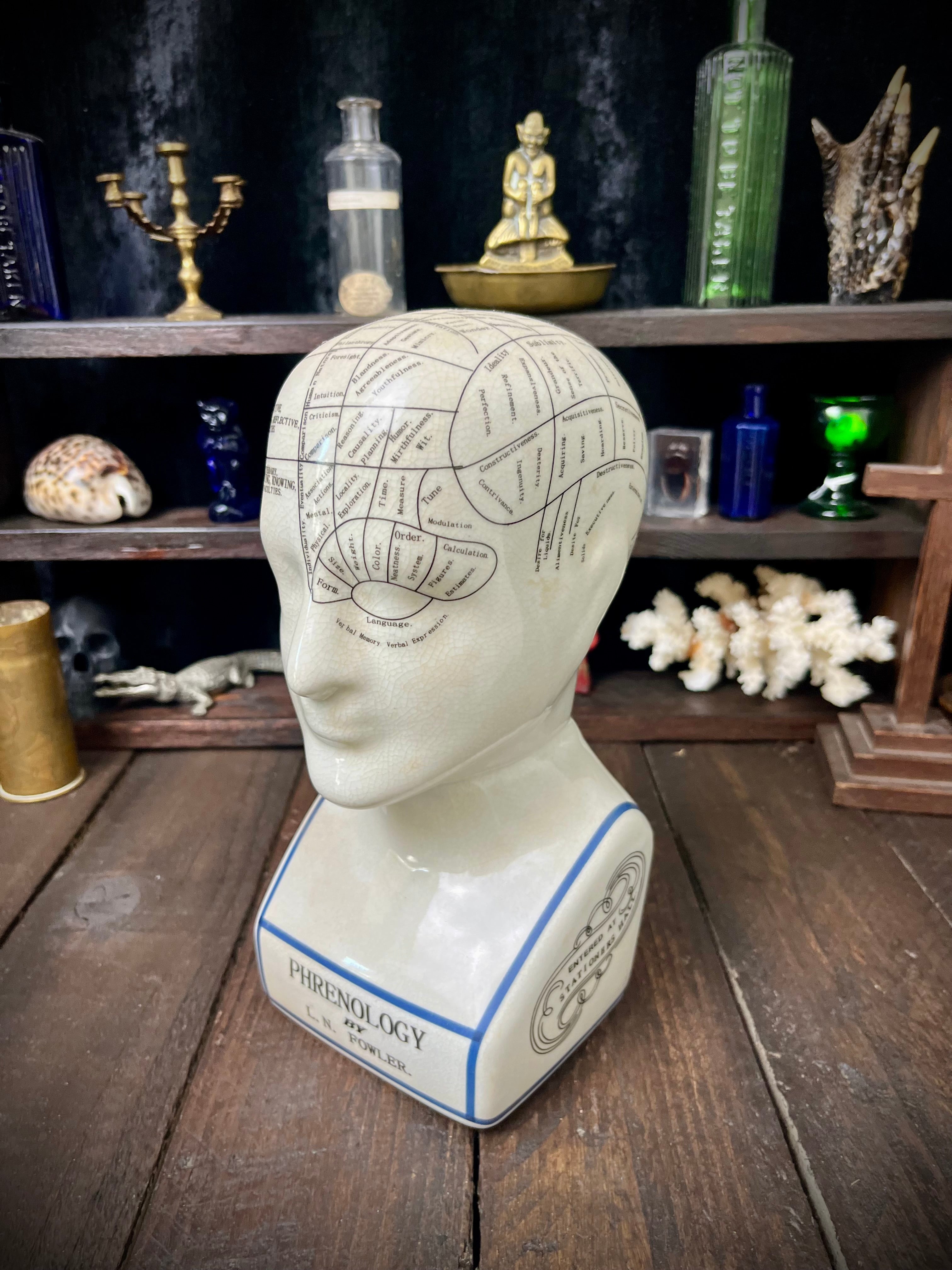 Vintage L.N. Fowler Phrenology Head – Ceramic Reproduction – 24cm