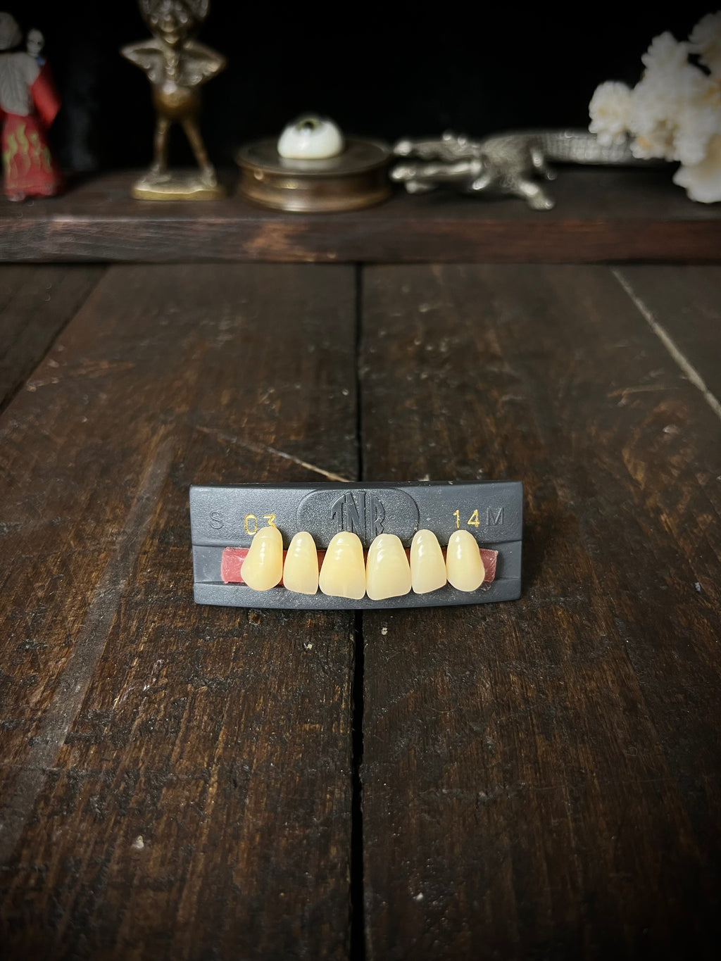 Vintage 1995 TNR Co-Polymer Denture Teeth – Complete Set – Dental Oddity