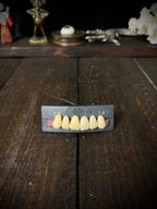 Vintage 1995 TNR Co-Polymer Denture Teeth – Complete Set – Dental Oddity