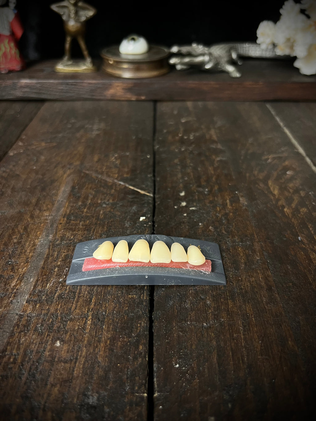 Vintage 1995 TNR Co-Polymer Denture Teeth – Complete Set – Dental Oddity