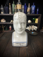 Vintage L.N. Fowler Phrenology Head – Ceramic Reproduction – 24cm