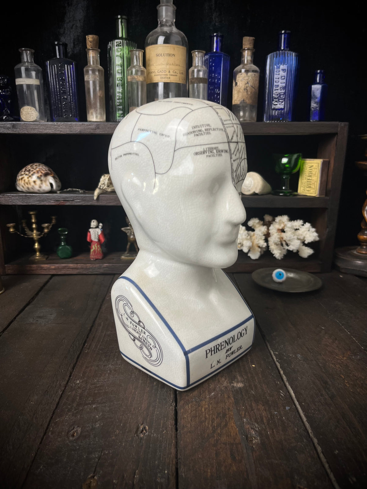 Vintage L.N. Fowler Phrenology Head – Ceramic Reproduction – 24cm
