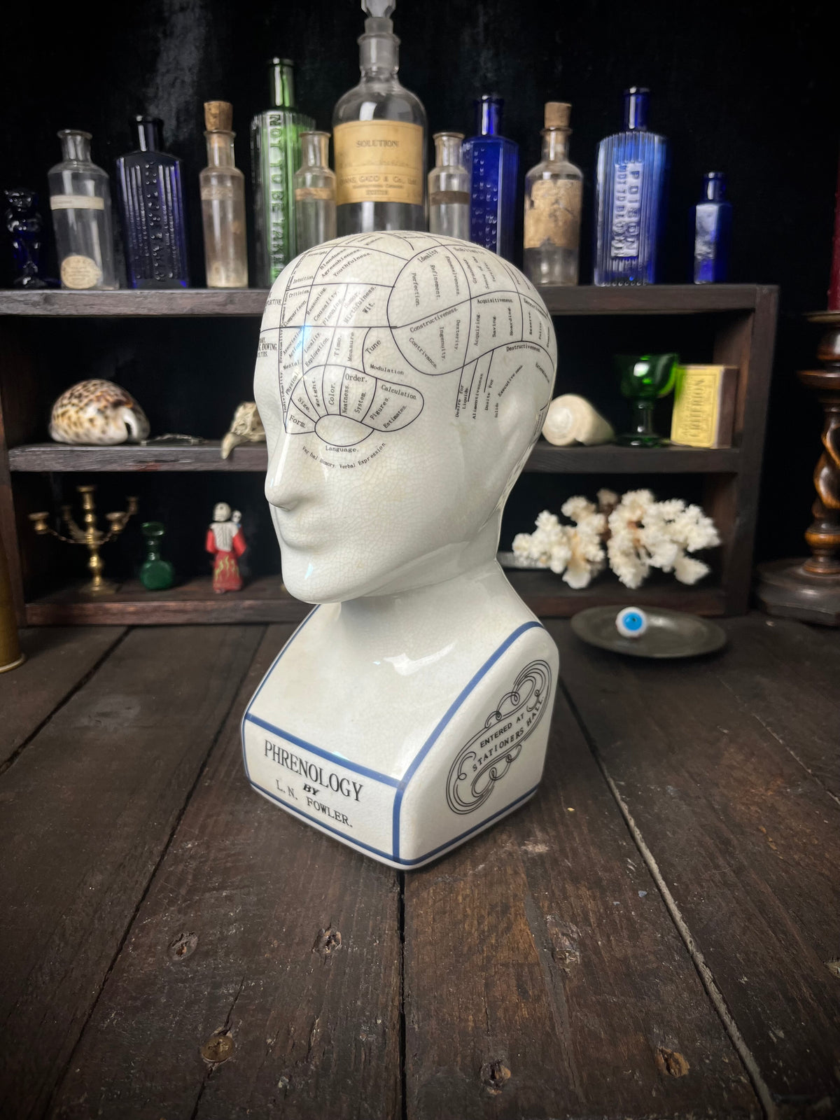 Vintage L.N. Fowler Phrenology Head – Ceramic Reproduction – 24cm
