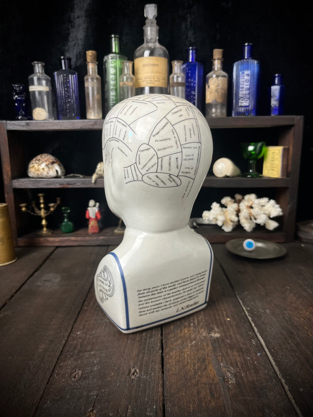 Vintage L.N. Fowler Phrenology Head – Ceramic Reproduction – 24cm